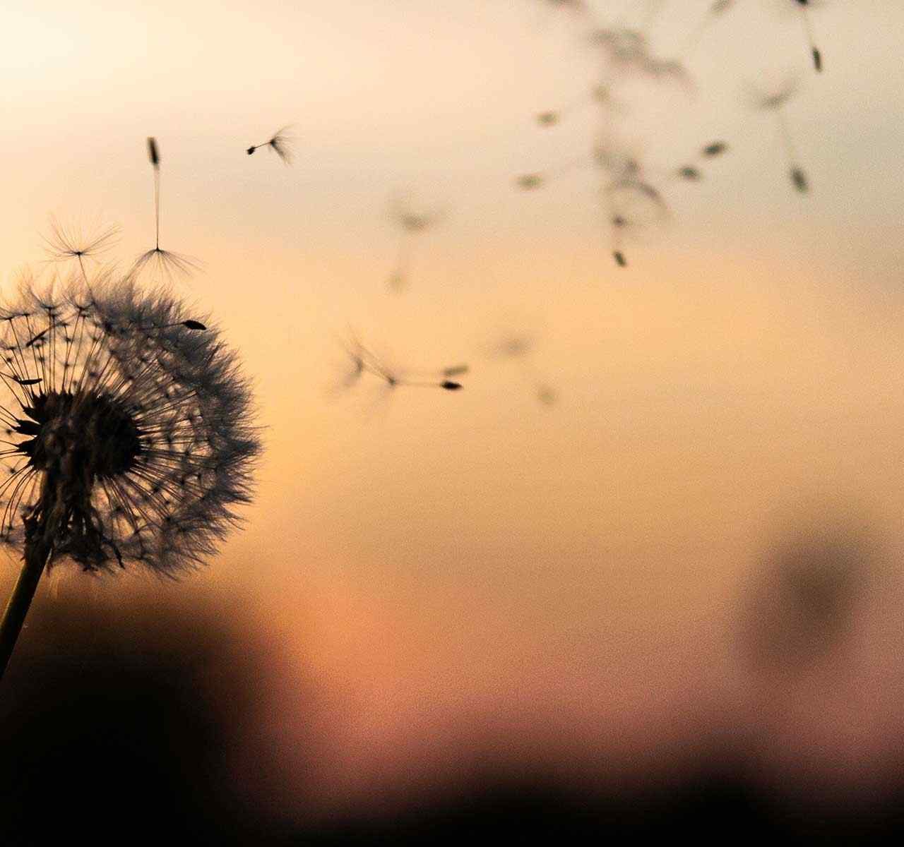 https://jocgestion.com/wp-content/uploads/2018/09/post_02-1280x1200.jpg