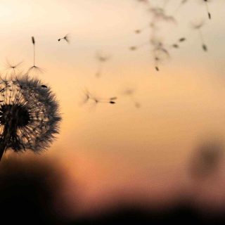 https://jocgestion.com/wp-content/uploads/2018/09/post_02-320x320.jpg