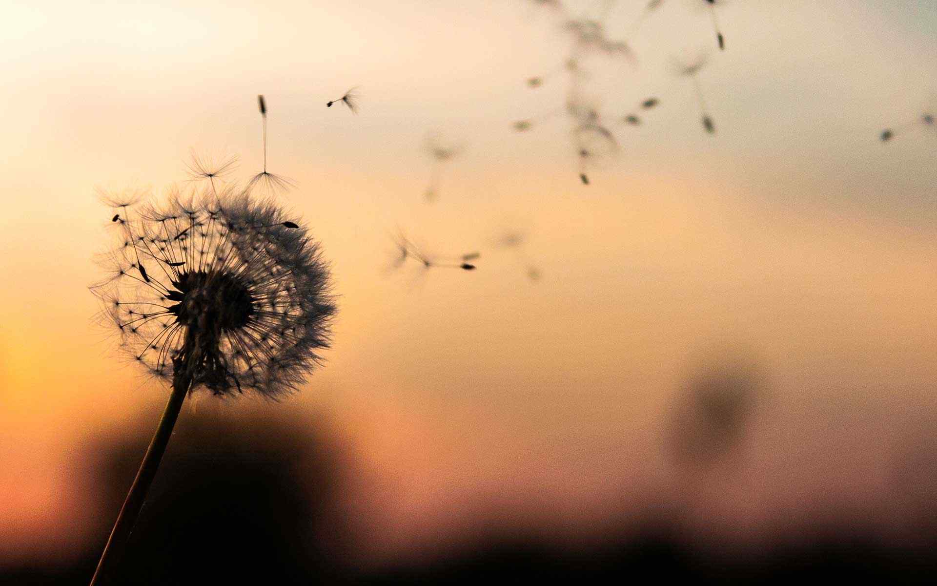 https://jocgestion.com/wp-content/uploads/2018/09/post_02.jpg